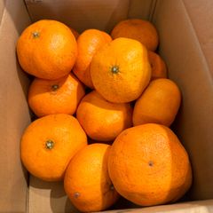 甘平　大　1箱