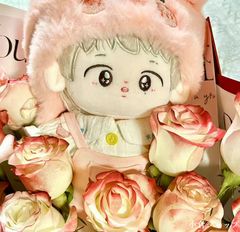 stray kids ヒョンジン ぬいぐるみ 20cm 新品 マスター - メルカリ