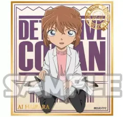 【中古】紙製品 灰原哀(箔押し) 「名探偵コナン トレーディングミニ色紙 vol.2」