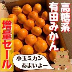 有田みかん　箱いっぱい6キロ近く入ってます♡減農薬