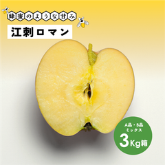 蜂蜜のような濃い甘さが魅力！  幻のリンゴ 「江刺ロマン3キロ箱A品B品」農林水産大臣賞 長野県産 安曇野 信州産 幻
