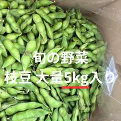 旬の朝採れ枝豆   大量5kg入り　【クール便発送、送料込み】野菜