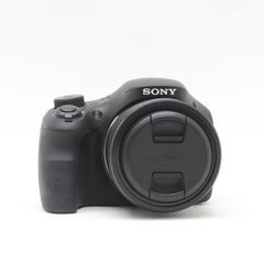 【訳あり】 SONY DSC-AX 300