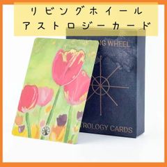 【新品未使用】リビングホイールアストロジーカード　水彩画みたいで綺麗　55枚