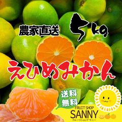 酸っぱうまい!! 愛媛県産 極早生 愛媛みかん5kg（不ぞろい・不選別）※沖縄・離島・北海道は発送不可