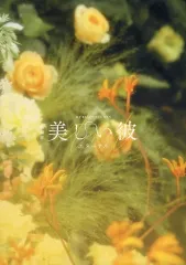 【中古】パンフレット ≪パンフレット(邦画)≫ パンフ)美しい彼 eternal