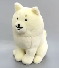 レア✨希少品 ナガノ 自分ツッコミくま くじ 大型犬 マスコット賞 ぬいぐるみ レア✨希少品 ナガノ 自分ツッコミくま くじ 大型犬 マスコット