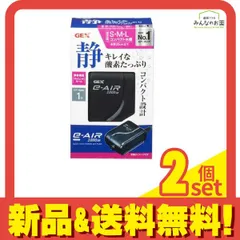 GEX e～AIR(イーエアー) 1000SB 1個入 2個セット まとめ売り