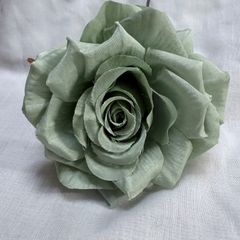 Item thumbnail for item 076b6849-5c80-4ceb-93f5-3816c8091f4b