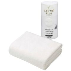 Item thumbnail for item 60bed6a6-ac19-45b6-9487-5895026b9ebc