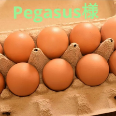 Pegasus様専用 訳あり卵50個