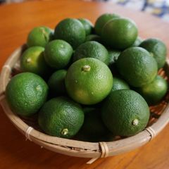 完売御礼【超徳用袋】先着順　完全無農薬すだち 1kg　料理のお供になる万能柑橘