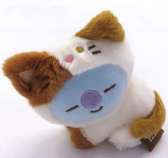 [중고] 봉제인형 마스코트·봉제인형 배지 KOYA(아르엠) CAT DAY 시리즈 봉제인형 마스코트 [BT21]