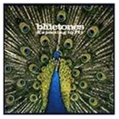 Expecting to Fly [Audio CD] Bluetones
