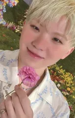 【中古】コレクションカード(男性) SEVENTEEN/WOOZI(ウジ)/裏面黄・ピンク/CD「SECTOR 17」(NEW BEGINNING Ver.)封入特典フォトカード