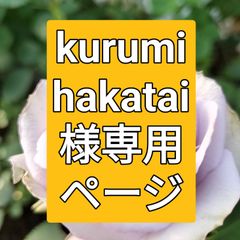 バラ  4色  ４５センチ２０本❨生花 切り花 ❩