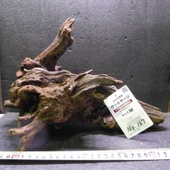 自然流木　リベラ　ウッドサージM　1点物　No.167　天然　デルフィス　アク抜き済み　レイアウト　アクアリウム　RIVERA