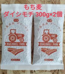 農家直送！もち麦(ダイシモチ)300g×2個 食物繊維豊富！美容・健康に！！