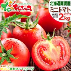 【出荷中】 北海道 南幌町産 ミニトマト 3種 詰め合わせ 2kg (おまかせ/冷蔵便) 南幌町明るい農村ネットワーク トマト プチトマト 朝採り 新鮮 鮮度抜群 お中元 ギフト 贈り物 ご家庭用 野菜 産地直送 お取り寄せ