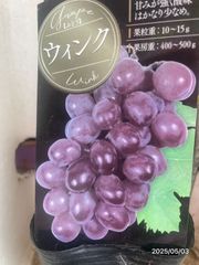 ぶどう★ウインク「ルーベルマスカット」×「甲斐路」平均糖度20度以上 最高級のレア品種ぶどう