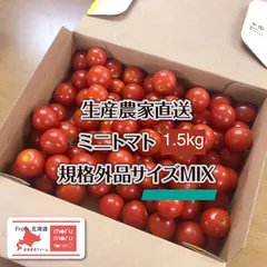 ミニトマト 1.5kg 北海道産 規格外品 クール宅急便のサムネイル