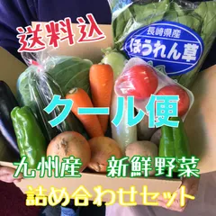 【クール便送料込み】九州産　新鮮野菜　詰め合わせセット