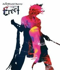 【レア品あり】Acid Black Cherry 73点セット Acid Black Cherry / BLACK LIST 廃盤品セット売り