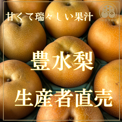 豊水梨 4Lサイズ 10個入 5kg超 朝摘み 岐阜県産 ご家庭用（9月24〜26日休みで9月27日最終日)