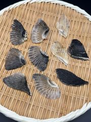【お買い得品】とらふぐ乾燥ひれ 10枚【約10g】