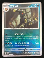 ブラッキー マスターボール テラスタルフェスex