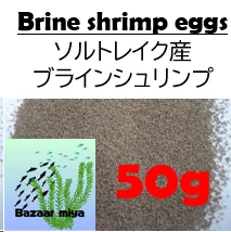 値下げ★激レア★バービー★ソルトレイクオリンピック　SALT LAKE 2002 Barbie 海外 2025年最新ソルトレイクオリンピックの人気アイテム - メルカリ