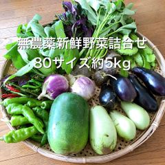 無農薬新鮮野菜詰合せ（80サイズ・5kg）
