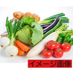 九州産旬の野菜まるごと詰め合わせセット10～11品目(夏でも安心のクール便配送)