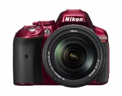 2025年最新】Nikon d5300 レンズの人気アイテム - メルカリ