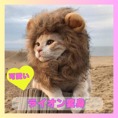 ライオンに変身 耳付き 可愛い ウィッグ 猫用帽子 被り物 かつら 犬 被り物 猫帽子 ライオンたてがみかつら 仮装 猫犬兼用 コスプレキャップ 変身 Amzbarley ペット用品 ハロウィーン パーティー 記念撮影 （M首周り24cm）