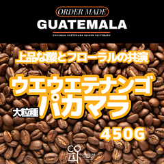 グアテマラ ウエウエテナンゴ ラ・プロヴィデンシア農園II パカマラ 注文焙煎 スペシャルティコーヒー豆 450g