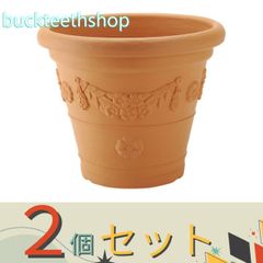 【園芸・農業用品】※２個セット※（株）リッチェル営業　アンティコ鉢　４３型　ＢＲ　【６】７１２２１４