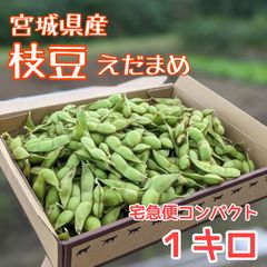 採れたて！秋の枝豆 1kg 宮城県産 宅急便コンパクト 野菜 えだまめ
