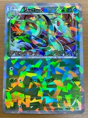 2026年最新】ジャローダ psa10の人気アイテム - メルカリ