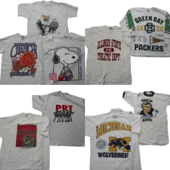 古着卸 まとめ売り シングル 半袖Tシャツ 9枚セット (メンズ Ｌ /XL ) スヌーピー アニマル リンガーＴ カレッジ風 中古 古着 NB6586