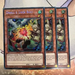 Amazon.co.jp: 遊戯王カード ドロール＆ロックバード(イラスト