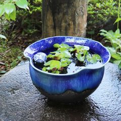【Rika】信楽焼　睡蓮鉢　青　花器　花瓶 Amazon.co.jp: 信楽焼 睡蓮鉢【青ガラストチリ水鉢 su-0268