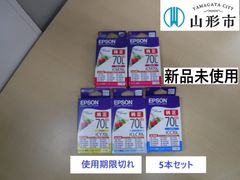 〈ジャンク品　使用期限切れ〉EPSON純正インクカートリッジ　5本セット【R7-004】