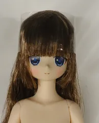2025年最新】アルヴァスタリアの人気アイテム - メルカリ