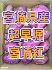北海道沖縄離島追加送料なし　宮崎県産超早掘りさつまいも《宮崎紅》約1.2kg