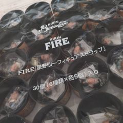 FIRE　星野仙一フィギュアストラップ　コレクション　KIRIN　キリン　フィギュア　あ1.32