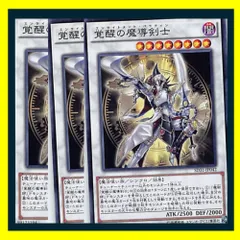 遊戯王　覚醒の魔導剣士 エンライトメントパラディンPSA10 遊戯王 覚醒の魔導剣士 ホログラフィックレア PSA10 - メルカリ