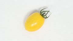 【甘い高級トマト】高糖度フルーツミニトマト！ブレニー5kg