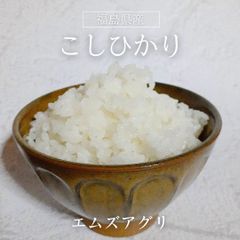 米 【エムズアグリ】 コシヒカリ 白米 5kg 福島県須賀川市 令和6年産