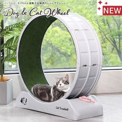 新品★猫ちゃん・ワンちゃん/回転ホイール/人工芝ランニングマシン★後藤家具【のストレス解消・ダイエット運動に】猫じゃらし・ポインター付き/ABS樹脂  /室内犬・ネコ / おもちゃ-20◆＃BUZZBERG